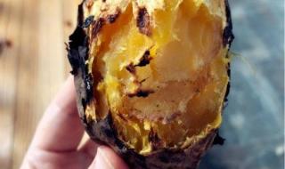 小咬是什么虫子 小咬是什么虫子